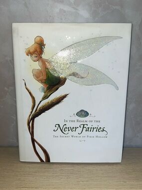 In the Realm of the Never Fairies | The Secret World of Pixie Hollow